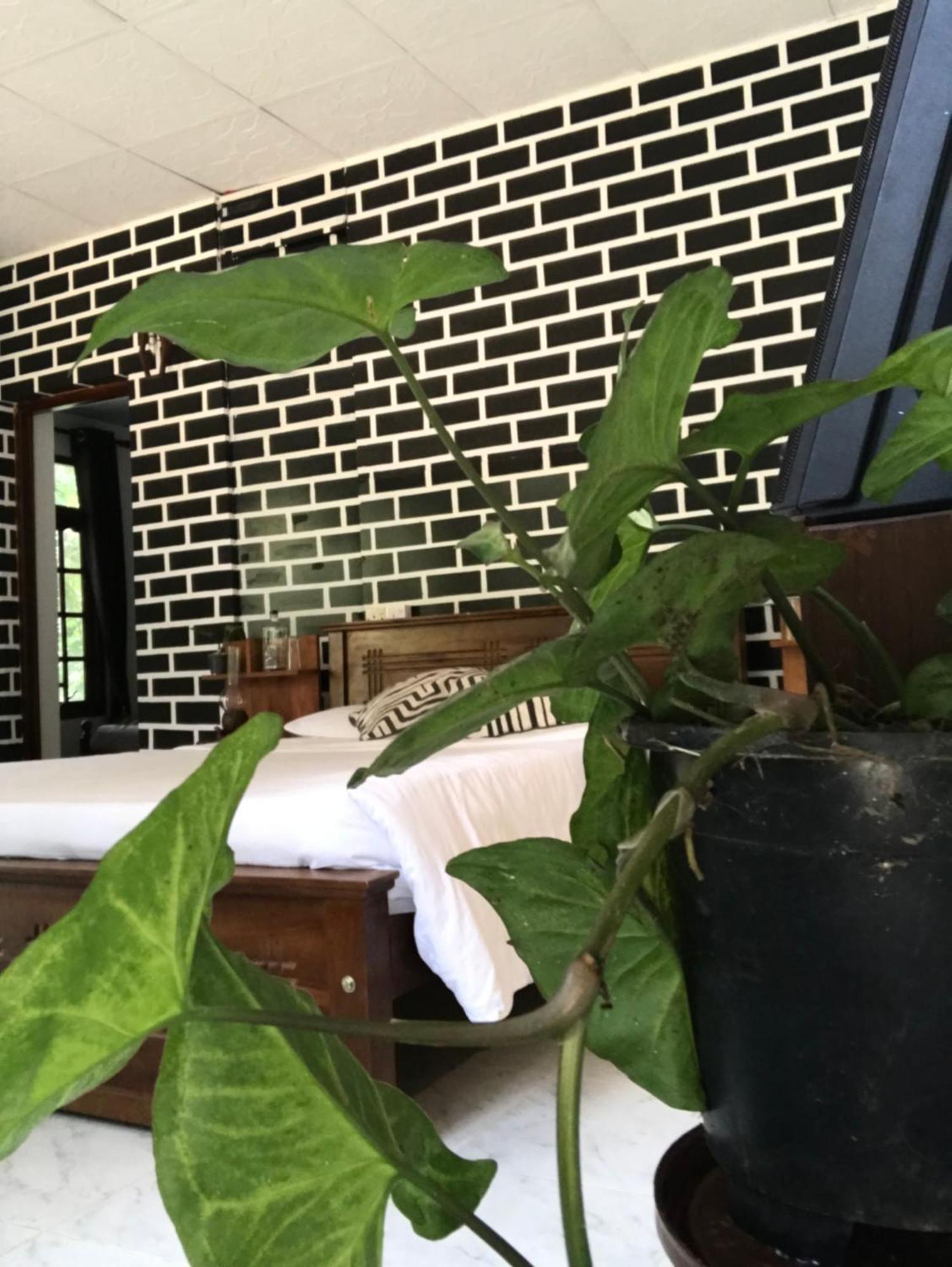 Ella Rawana Resort 外观 照片